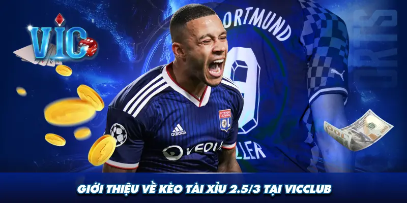 Giới thiệu về kèo tài xỉu 2.5/3 tại Vicclub
