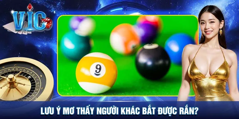 Lưu ý khi thấy người khác bắt được rắn