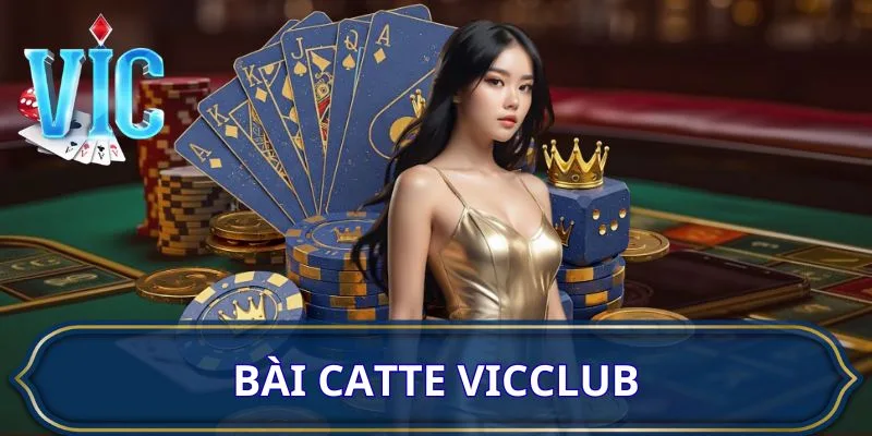 bai-catte-vicclub